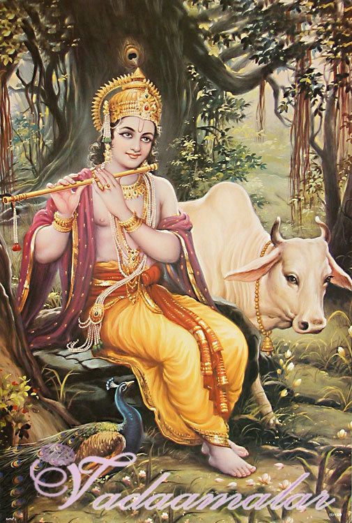 Lord Krishna Picture Gift Photo Card