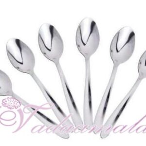 Stainless Steel Tea Spoon 6 PCs Set