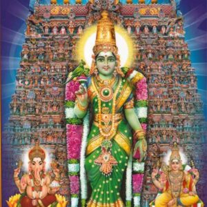 Meenakshi Photo Frame Puja and Decorations Poojai Room 14 inches