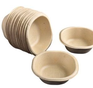 Disposable Sugarcane Paper Cup-10 pcs