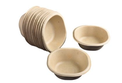 Disposable Sugarcane Paper Cup-10 pcs