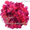 10 mtrs Cloth Artificial Pink & Purple Mandap Hangings Decoration Wedding Hall festival decorations