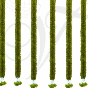 Green Tulsi Leaf Toran Thoranam Festival Mandap Hall Decorations - 1 meter
