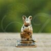 Brass Ganesha Mouse Vaganam Sitting Holding Kolukattai Mooshak Statue Buy Now 2.2 inches