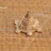 Brass Statue of Tortoise Meru Shree Yantra Buy Now 2.5"