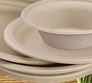 9 inch Round Sugarcane Disposable Paper Plate Plastic Free-20 pcs