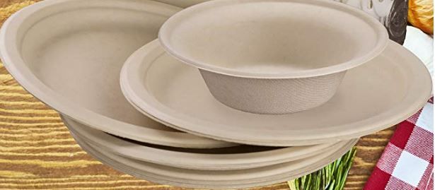 9 inch Round Sugarcane Disposable Paper Plate Plastic Free-20 pcs