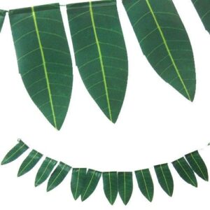 5 meters Doorway Plain Mango Leaf