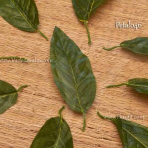 Mango Leaves Green Leaf For Indian Style Decoration 20-piece7 inches