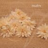 Light Peach Dahlia Flowers Articial Head Flower 10 pieces