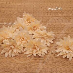Light Peach Dahlia Flowers Articial Head Flower 10 pieces