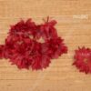 Dark Red Chrysanthemum Flowers Artificial Head Flower 10 pieces