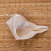 Pooja Conch Sea Shell Valampuri Sangu Buy Now 7 inches