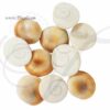Gomti Chakra/Gomati Chakra 100% Natural from India Buy Now 10 pieces
