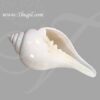 7 Inch Pooja Conch Sea Shell Natural Rare Edampuri Sangu Buy Now