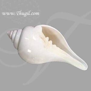 7 Inch Pooja Conch Sea Shell Natural Rare Edampuri Sangu Buy Now