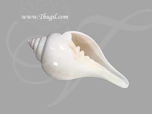 7 Inch Pooja Conch Sea Shell Natural Rare Edampuri Sangu Buy Now