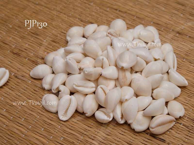 Cowry Shells Playing Choli Sea Shell Beads Cowrie Craft Set 150 pcs