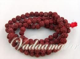 Rudhraksha Rudraksha Rudhraksam Kottai Mala Chain for Rishi Swani Gods Fancy Dress Costumes