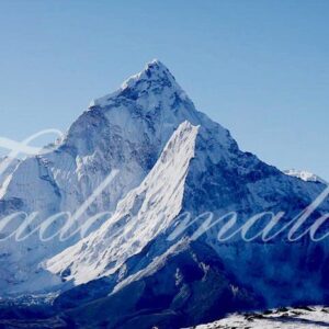 Stage backdrop screen decorations for bharatnatyam, dance, music or cultural gatherings