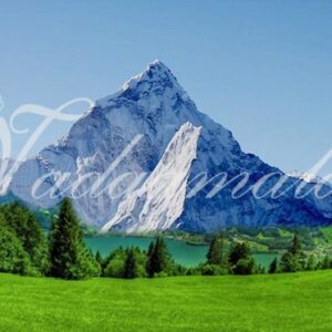 Traditional stage decorations for bharatnatyam, dance, music or cultural gatherings