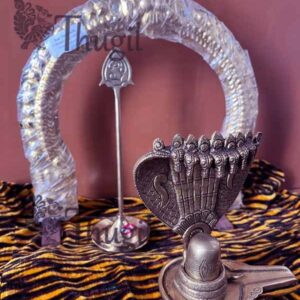 Vel poojai with Shiva Lingam brass statue with snake and prabavali