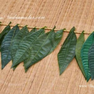 Mango Leaf Maa Ilai Thoranam Indian Door Decoration 1 Meter x 5 pieces