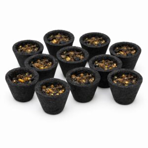 Bulk Cup Sambrani Pooja Samagri from India Shop 40 pcs